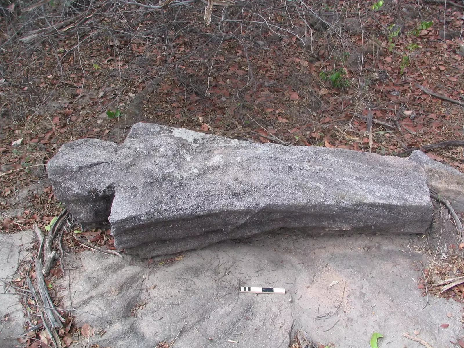 Telangana Is Home To Early Stone Sculptures Telangana Is Home To Early Stone Sculptures