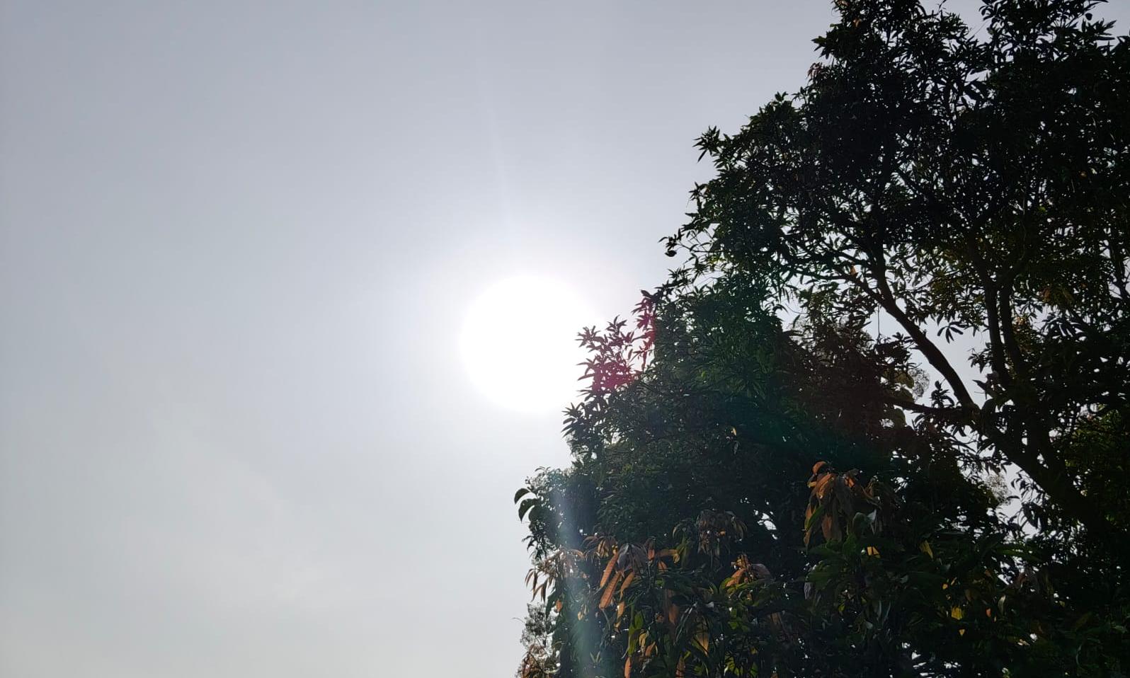 Telangana Forecast Calls for Hot, Humid Day, Overnight Thunderstorms