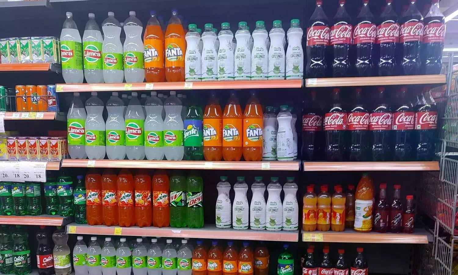 India's $100B Food Industry Under Fire: Supreme Court Battle Over Warning Labels as Obesity Crisis Soars — image 2