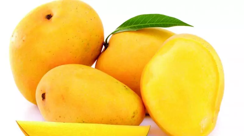 Mango Growers Await Payments From Pulp Industries Mango Growers Await Payments From Pulp Industries