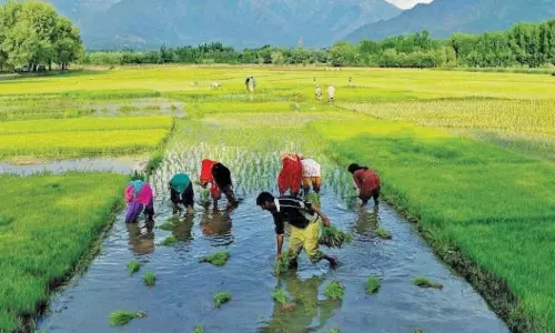 Farmers Voluntarily Pool 22.68 Acres For Amaravati Farmers Voluntarily Pool 22.68 Acres For Amaravati