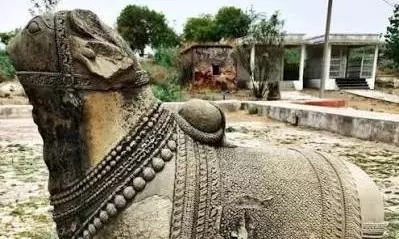 17th Century Nandi Discovered At Old Malakpet 17th Century Nandi Discovered At Old Malakpet