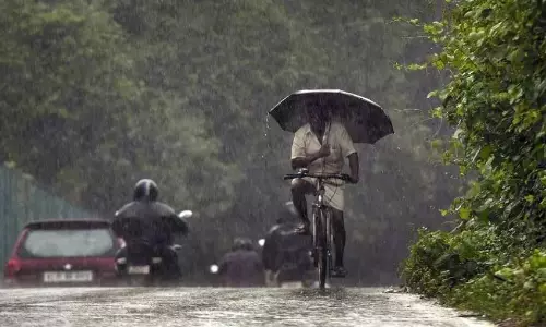 With Rains In Rayalaseema, Farmers In The Region Get Busy With Sowing With Rains In Rayalaseema, Farmers In The Region Get Busy With Sowing