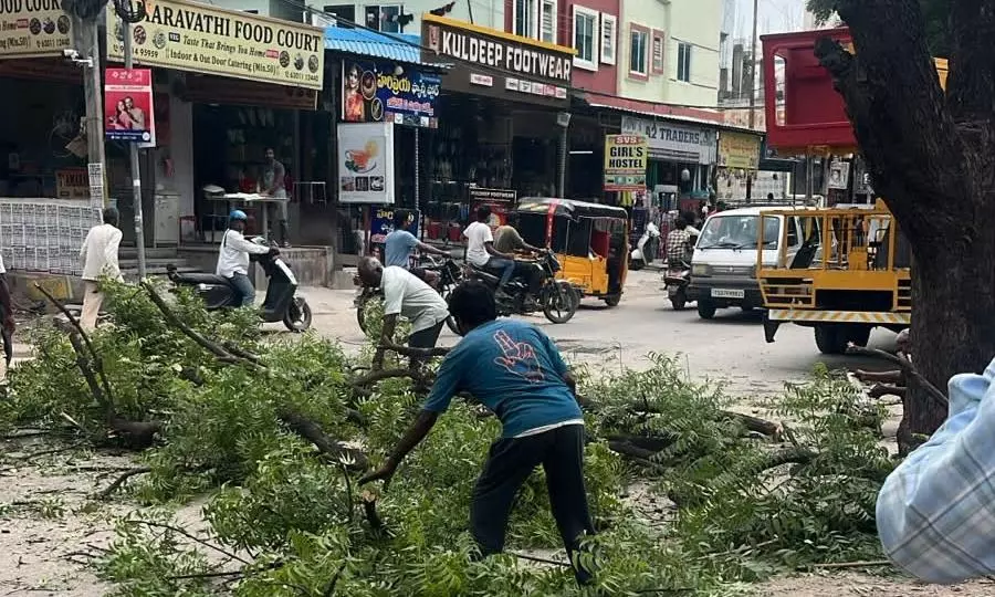 MCM Undertakes Tree Pruning Drive Ahead of Ganesh Festival MCM Undertakes Tree Pruning Drive Ahead of Ganesh Festival