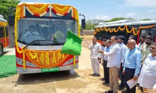 TTD To Add 25 E-Buses, Strengthen Free Public Transport In Tirumala