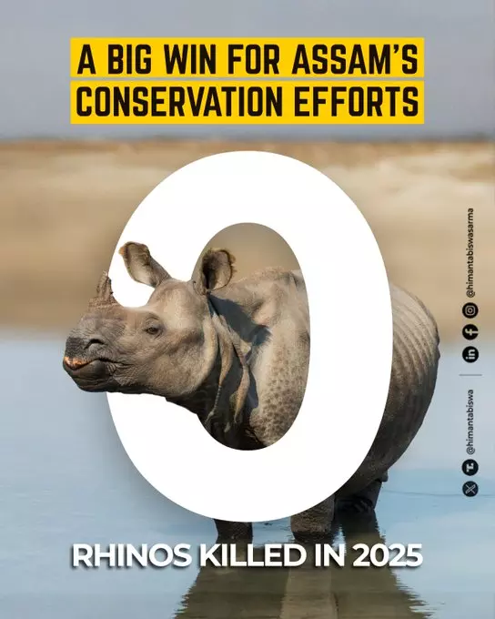 3,260 One-Horned Rhinos in Assam, 80 Pc of Global Count: CM Himanta Sarma 3,260 One-Horned Rhinos in Assam, 80 Pc of Global Count: CM Himanta Sarma
