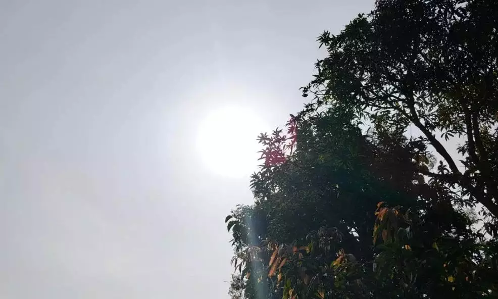 Temperatures To Touch 39°C; Storms Likely From Tomorrow Night Temperatures To Touch 39°C; Storms Likely From Tomorrow Night