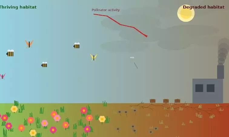 Pollinator Decline Threatens Ecosystems, Food Production Pollinator Decline Threatens Ecosystems, Food Production