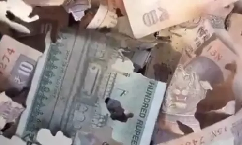 Visakhapatnam: Currency Notes Found Scattered Outside Central Park
