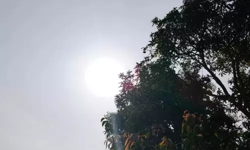 Hot and Humid Days Ahead, Isolated Rains Expected Hot and Humid Days Ahead, Isolated Rains Expected