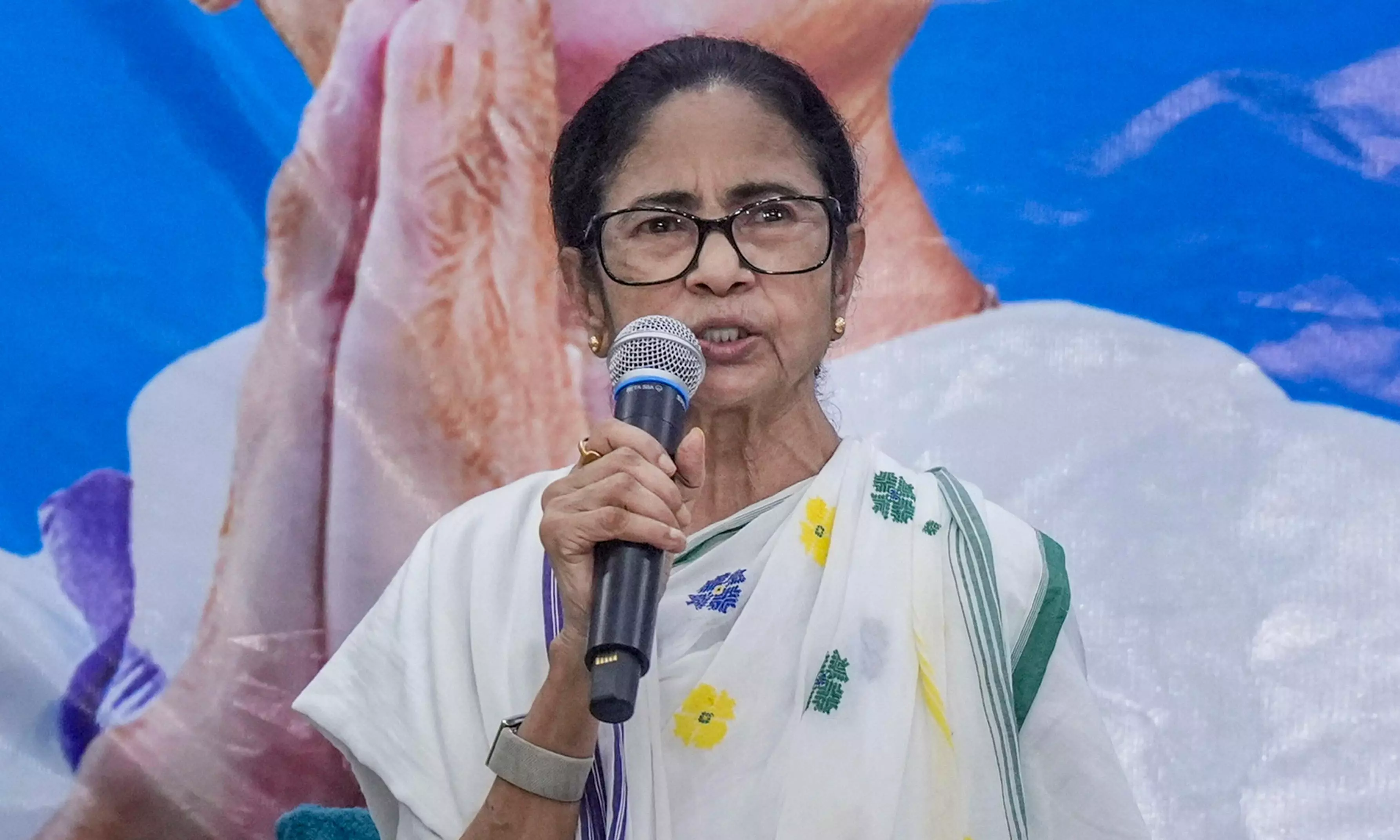 EC Freezing TMC Name, Symbol Black Day for Democracy: Mamata Vows to Fight EC Freezing TMC Name, Symbol Black Day for Democracy: Mamata Vows to Fight