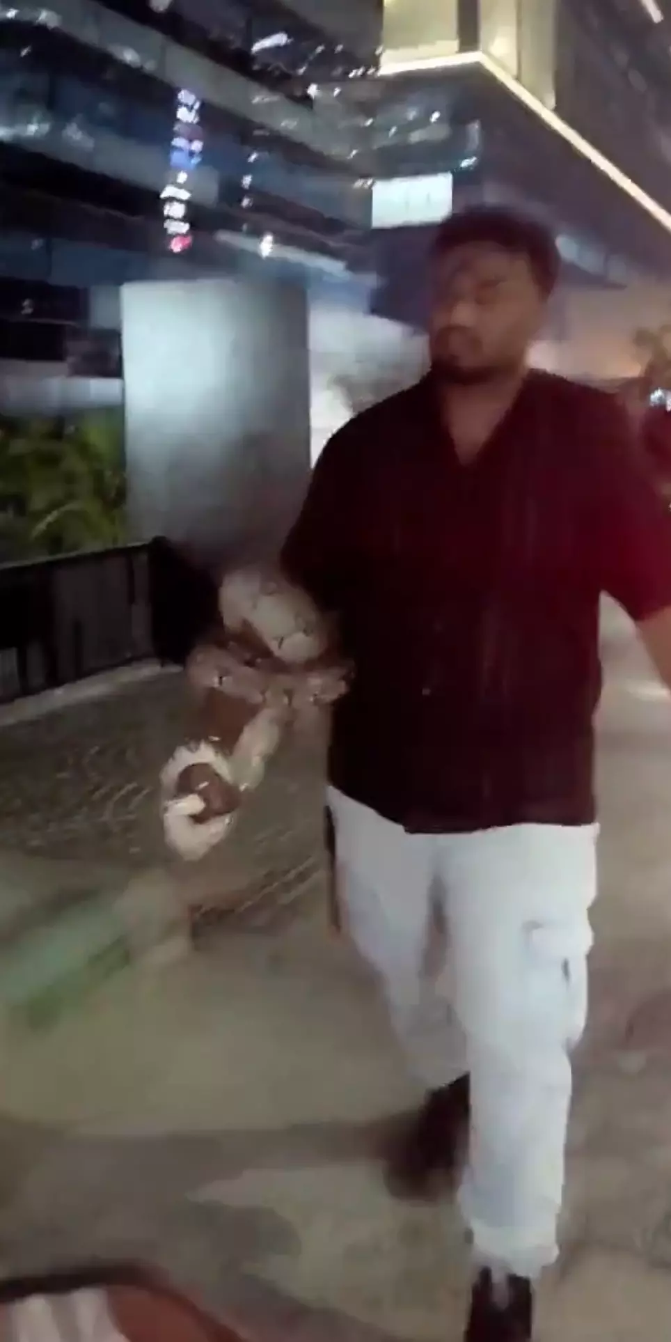 Hyderabad: Python Spotted Outside IT Firms Near Durgam Cheruvu, Sparks Panic Hyderabad: Python Spotted Outside IT Firms Near Durgam Cheruvu, Sparks Panic
