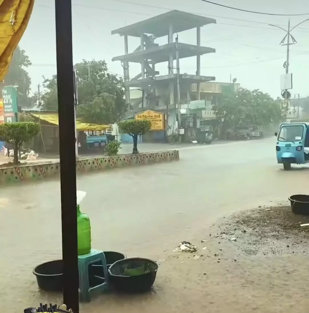 Rain Brings Relief To Rayalaseema, But Crops Remain At Risk Rain Brings Relief To Rayalaseema, But Crops Remain At Risk