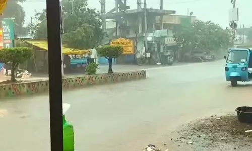 Rain Offers Relief After Dry Spell, Crops Remain At Risk Rain Offers Relief After Dry Spell, Crops Remain At Risk