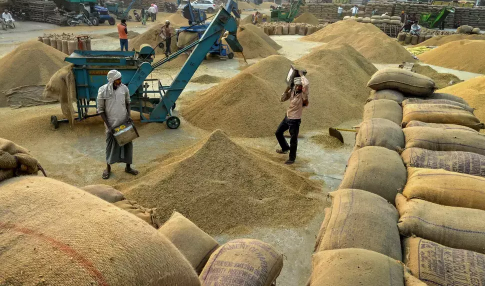 Paddy Procurement Begins, Farmers Can Report Irregularities Paddy Procurement Begins, Farmers Can Report Irregularities
