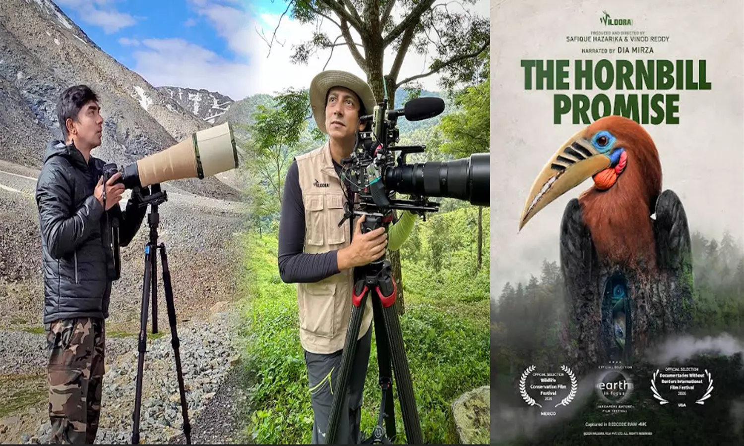 When A Wildlife Story Became A Story About Us When A Wildlife Story Became A Story About Us