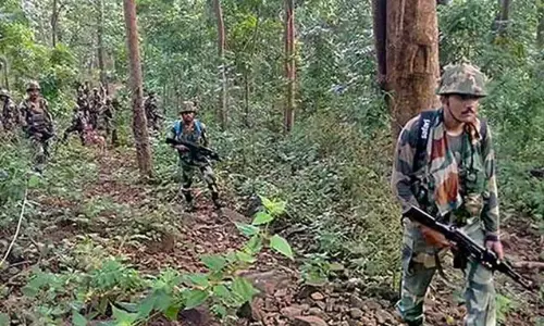 Two Maoist Arms Dumps Busted In Bastar; Chinese Grenade Seized Two Maoist Arms Dumps Busted In Bastar; Chinese Grenade Seized