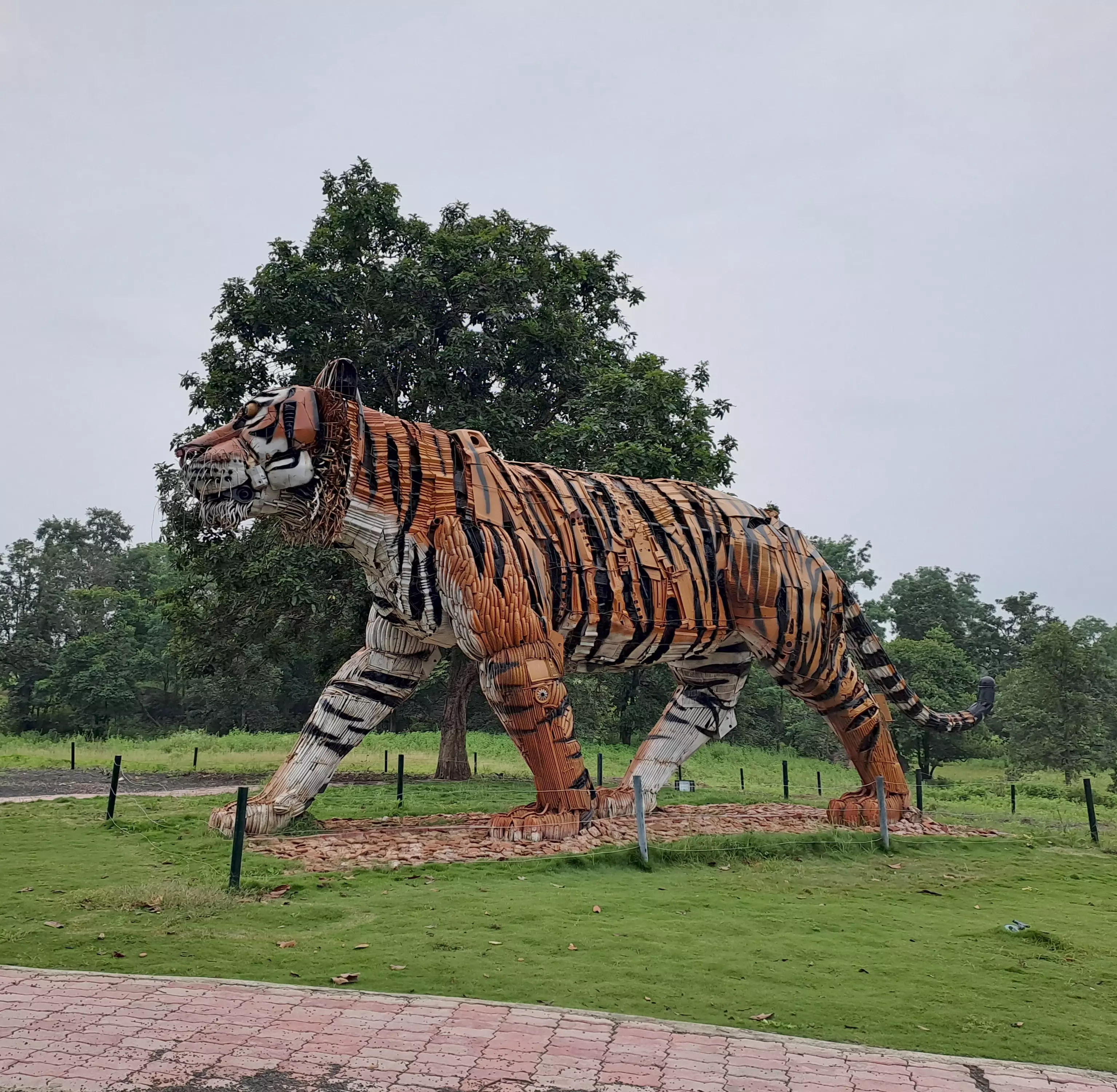 Relearning The Language of The Wild With Jungle Camps India Relearning The Language of The Wild With Jungle Camps India