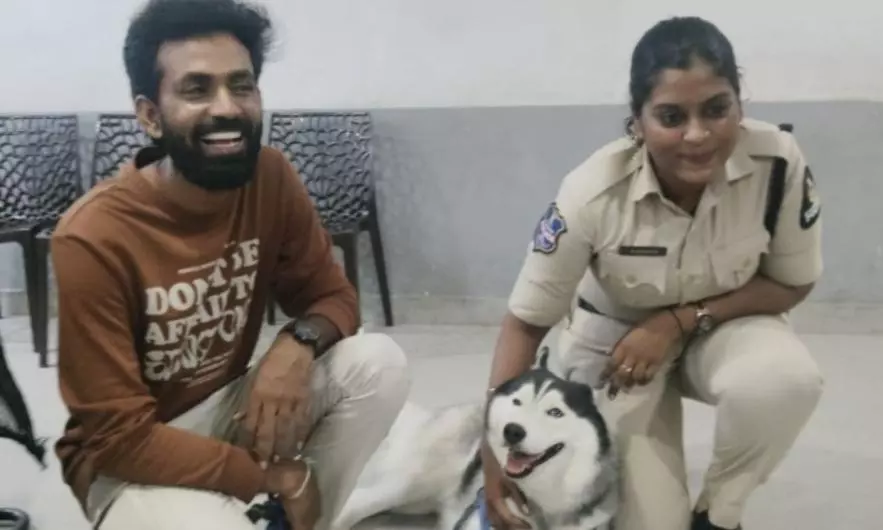 Woman Cop Traces Missing Siberian Husky Within 24 Hours Via Online Leash Order Woman Cop Traces Missing Siberian Husky Within 24 Hours Via Online Leash Order
