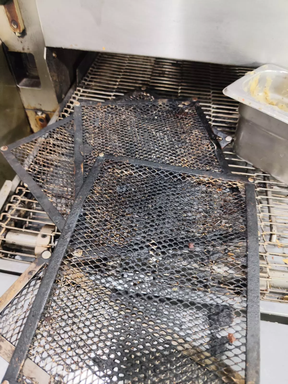 Hyderabad: Restaurants Found With Rodents, Expired Food During TG SAFE Drive Hyderabad: Restaurants Found With Rodents, Expired Food During TG SAFE Drive