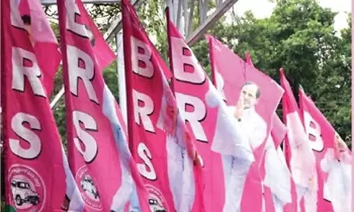 BRS Welcomes SC Order On Danam Nagender, Dares Him To Face   By-election