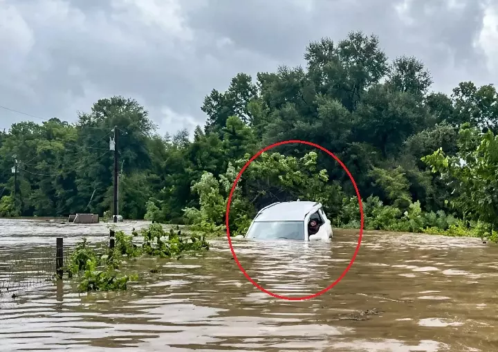 Heavy Rain Disrupts Life In Southern Odisha; Landslides, Road Blockades Hit Several Districts Heavy Rain Disrupts Life In Southern Odisha; Landslides, Road Blockades Hit Several Districts