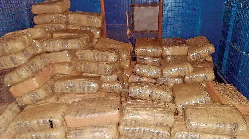 Three Held For Ganja Transportation In Kavali