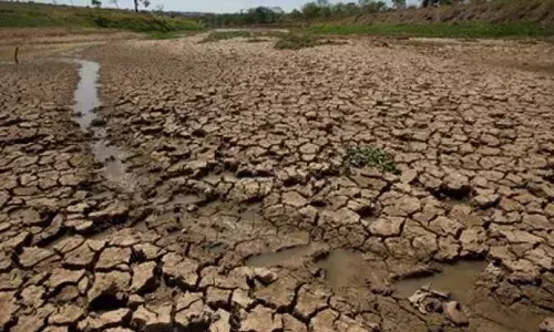 Water, Fodder Crisis Looms As Drought-Like Conditions Hit 255 Talukas Water, Fodder Crisis Looms As Drought-Like Conditions Hit 255 Talukas
