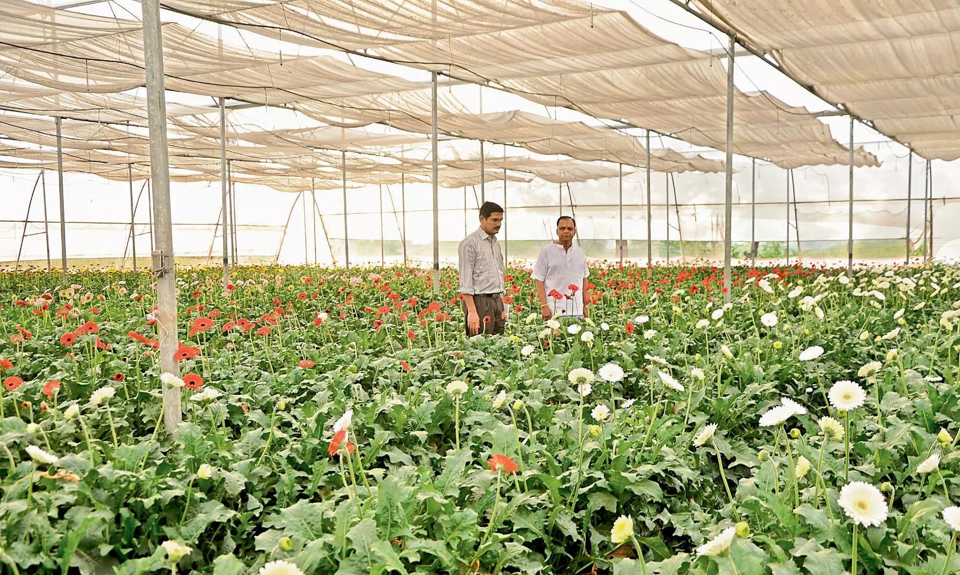 Rayalaseema To Receive Rs 1-Lakh Crore Integrated Horticulture Hub Boost Rayalaseema To Receive Rs 1-Lakh Crore Integrated Horticulture Hub Boost