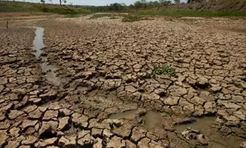 Severe Drought Hits 101 Mandals, Moderate Drought in 214, Says Telangana Severe Drought Hits 101 Mandals, Moderate Drought in 214, Says Telangana
