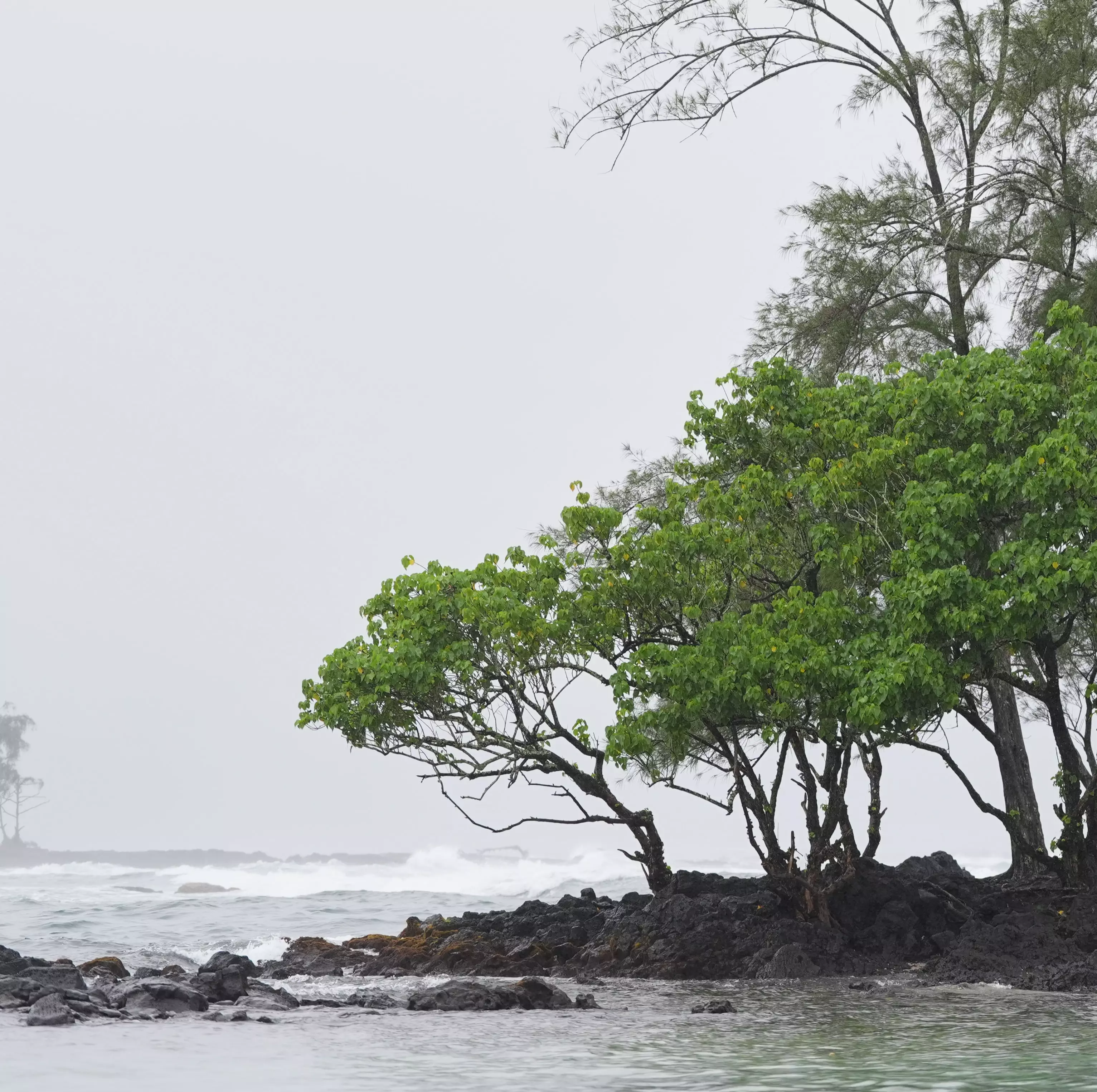 Hurricanes in The Pacific Threaten Hawaii And Mexico With Floods And High Surf Hurricanes in The Pacific Threaten Hawaii And Mexico With Floods And High Surf