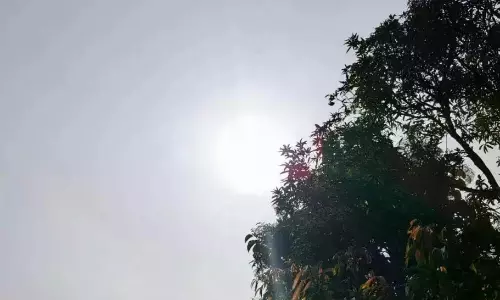 Telangana Braces for Rising Temperatures From Today