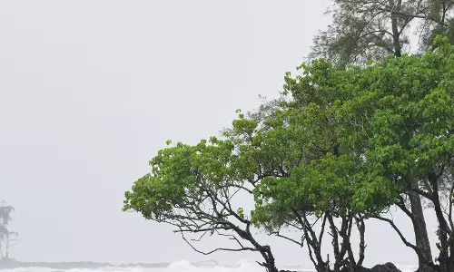 Hurricanes in The Pacific Threaten Hawaii And Mexico With Floods And High Surf
