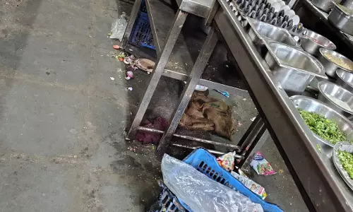 TG SAFE Orders 11 Hyderabad Eateries To Stop Operations