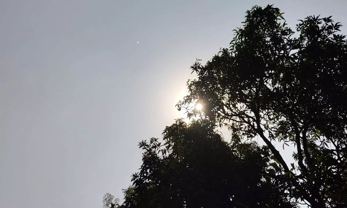 Telangana to Witness Hot Weather, Temperatures May Cross 35°C Telangana to Witness Hot Weather, Temperatures May Cross 35°C