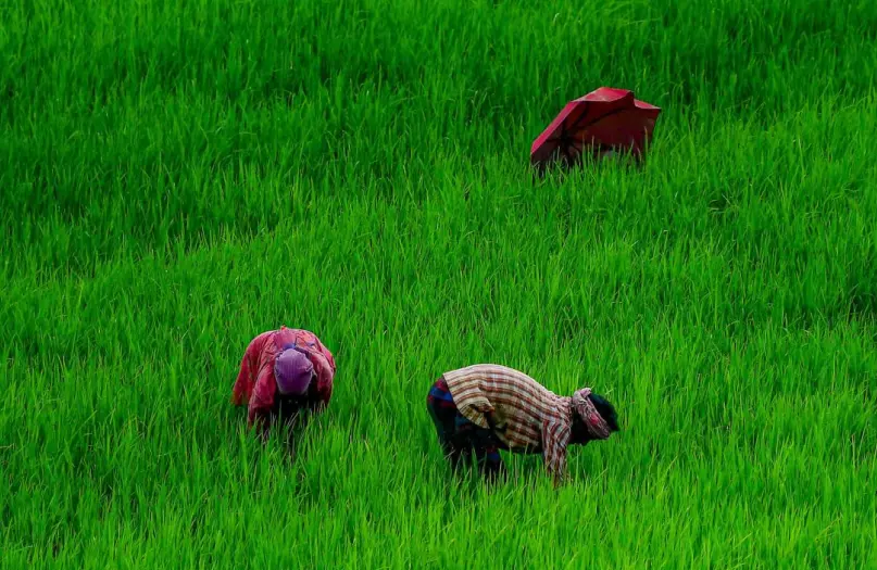 Tribal Farmers Protest Over Pending Land Records, Death Certificates Tribal Farmers Protest Over Pending Land Records, Death Certificates