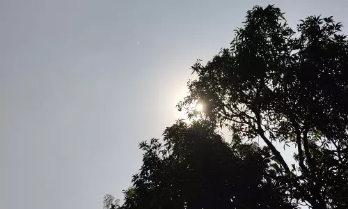 Telangana to Witness Hot Weather, Temperatures May Cross 35°C
