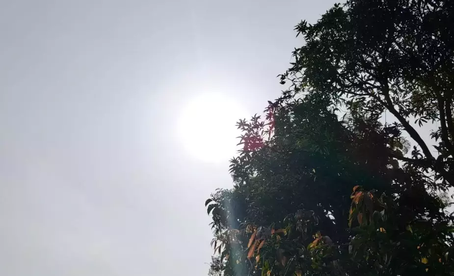 Hot, Dry Weather In Telangana; Isolated Rains Likely in Some Districts Hot, Dry Weather In Telangana; Isolated Rains Likely in Some Districts