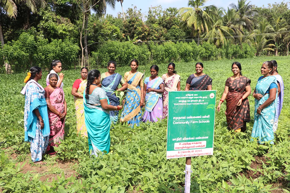 Uncertainty Looms Over World Bank-Assisted Rural Project in Tamil Nadu Uncertainty Looms Over World Bank-Assisted Rural Project in Tamil Nadu