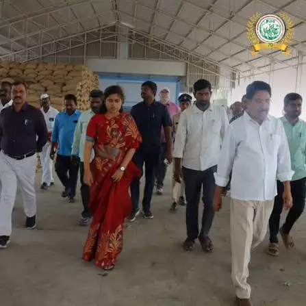 Govt Land Must Be Clearly Demarcated: Hanamkonda Collector Govt Land Must Be Clearly Demarcated: Hanamkonda Collector