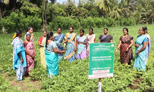 Uncertainty Looms Over World Bank-Assisted Rural Project in Tamil Nadu