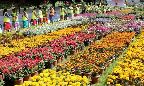 Autumn Rains, Blooms Charm Tourists in Nilgiris