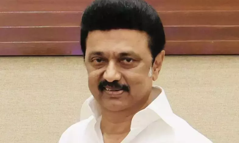 DMK, AIADMK Attack TVK In Bypoll Campaign