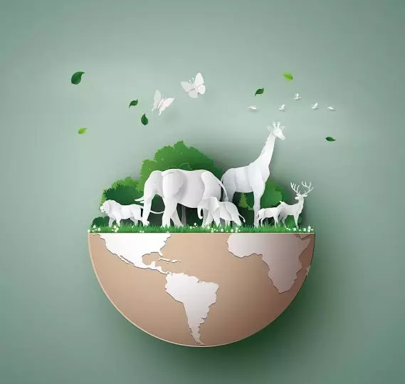 Through Their Eyes: A World Animal Day Reflection Through Their Eyes: A World Animal Day Reflection