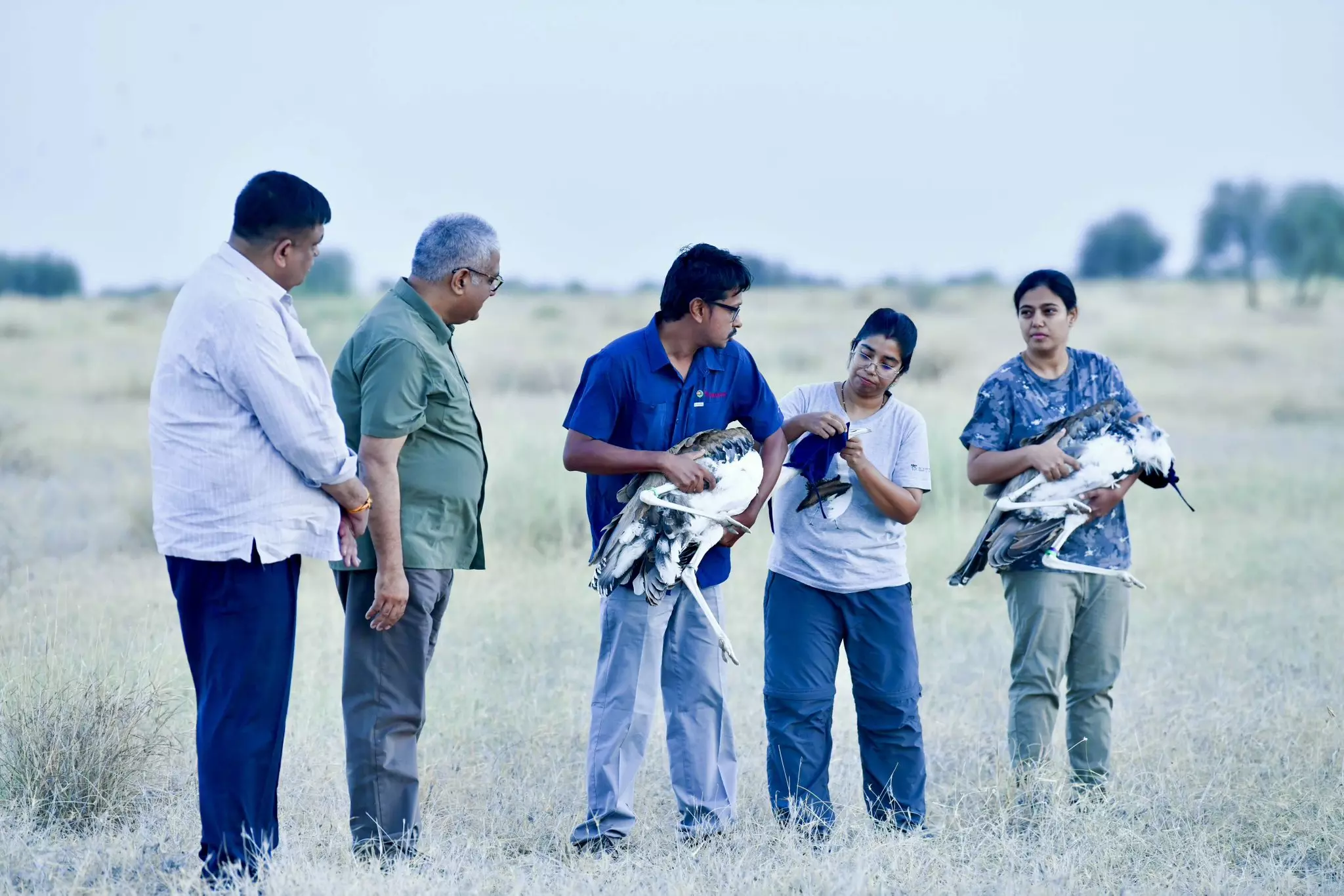 Bhupender Yadav Initiates Great Indian Bustards Release Into Wild Bhupender Yadav Initiates Great Indian Bustards Release Into Wild