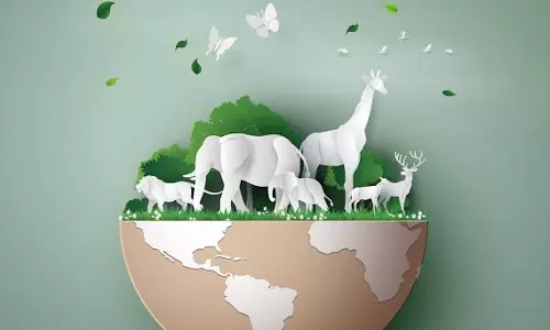 Through Their Eyes: A World Animal Day Reflection