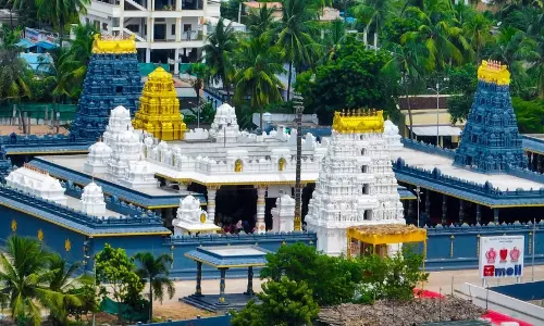 Andhra Pradesh: 500 Couples Take Part In Srinivasa Vratham At Dokiparru Temple