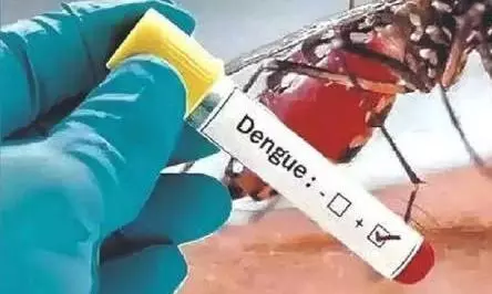 Karur Admin on War-Footing to Tackle Dengue Karur Admin on War-Footing to Tackle Dengue