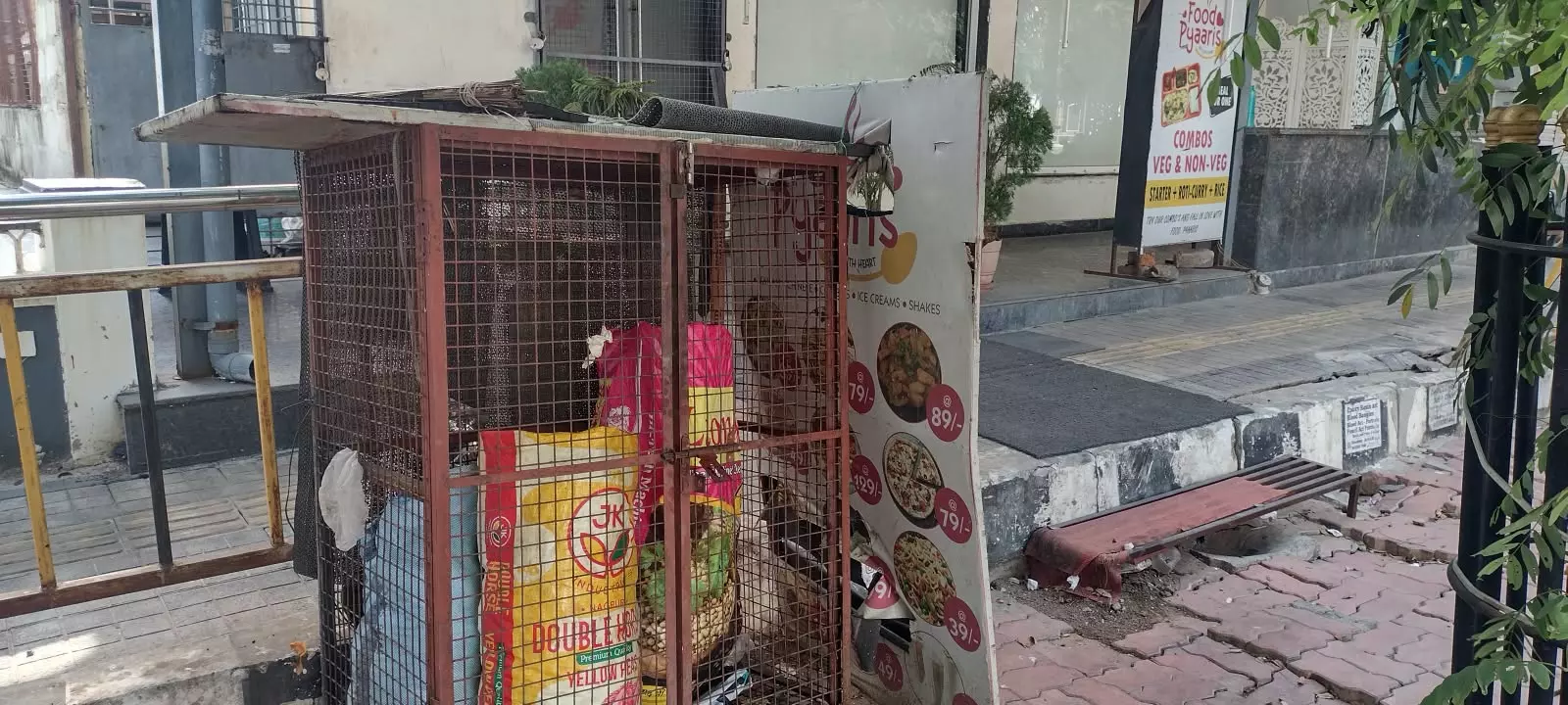 Monkey menace: Iron grills put to protect food items in Kirana stores Monkey menace: Iron grills put to protect food items in Kirana stores