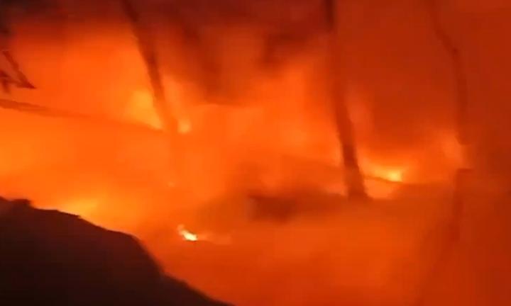 Fire Guts Three-Acre Mango Orchard in Sangareddy